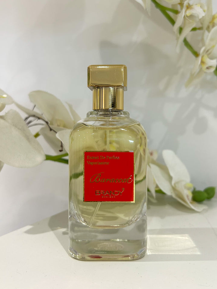 Baraccat Brandy Perfume