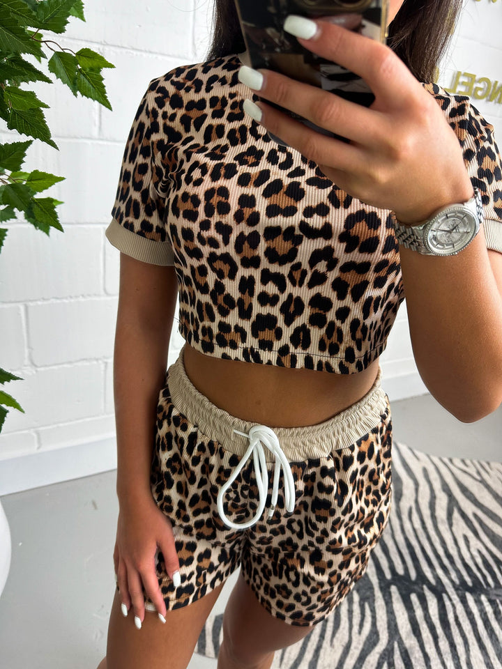Leopard Print Ribbed Top And Short Co-ord 987