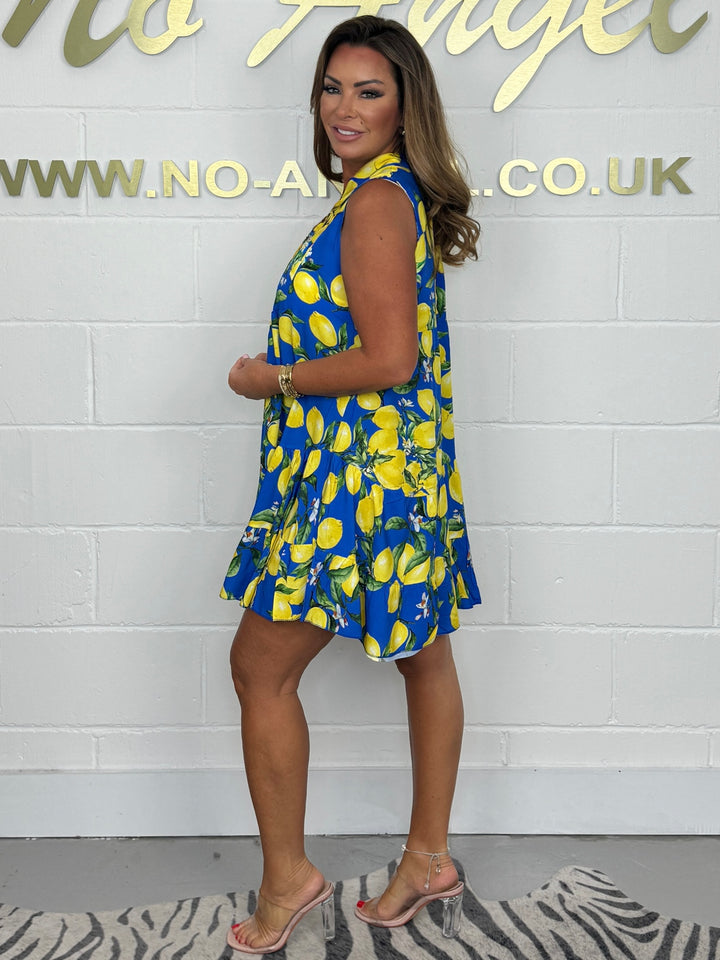 Lemon print sleeveless swing dress ( 3 colours )