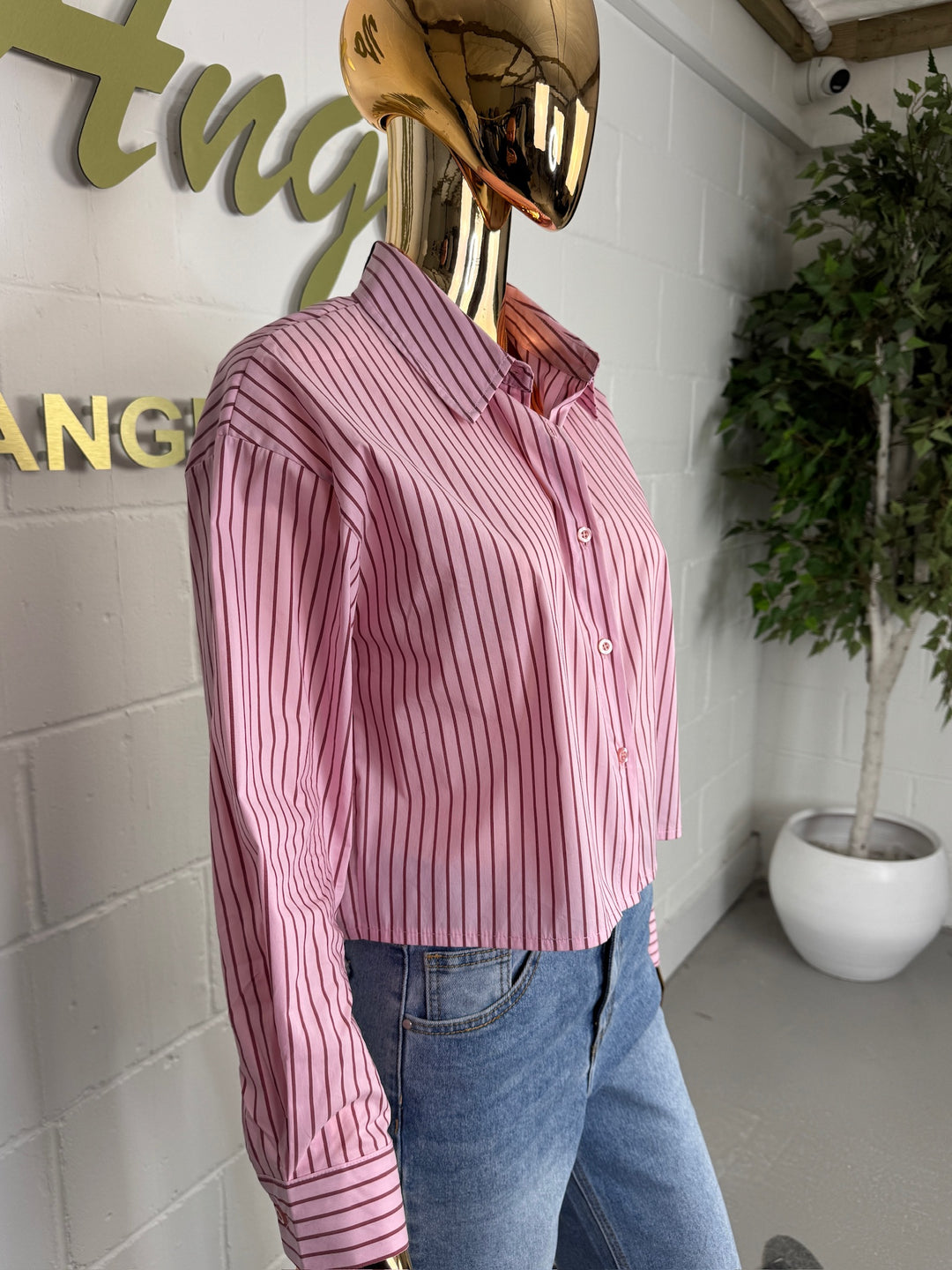 Striped Button Up Collared Shirt With Open Back Shirt (2 Colours)